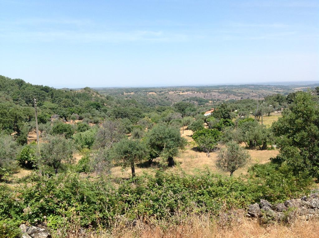 Refugio Da Maceira Villa Marvão Eksteriør billede